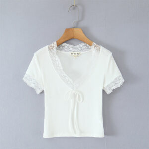 Lace V-neck Slim Knit Small Top