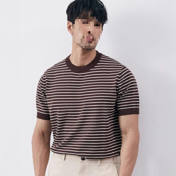 Men's High-grade Casual Striped Round Neck Knitted T-shirt - Image 2